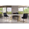Ensemble de chaise de table de cuisine zenit gold