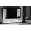 Aqua tv unit