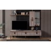 Master tv unit