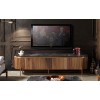 Unité tesla tv